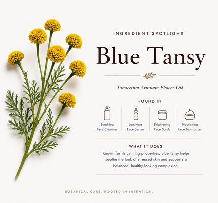PranaGlow Ingredient spotlight - Blue Tansy