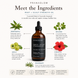 Root + Scalp Strength Oil - Ayurveda Hair Nourishment
