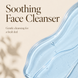 PranaGlowSoothingFaceCleanserTexture